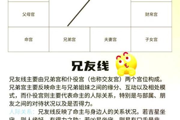 紫薇斗数流年看考试