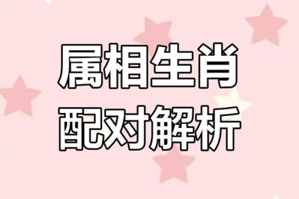 羊和什么属相配对幸福