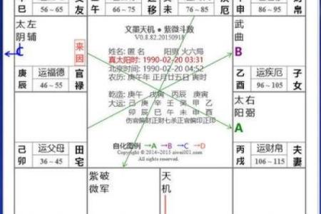 紫薇斗数不入格