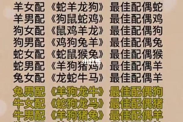 猪的生肖配对