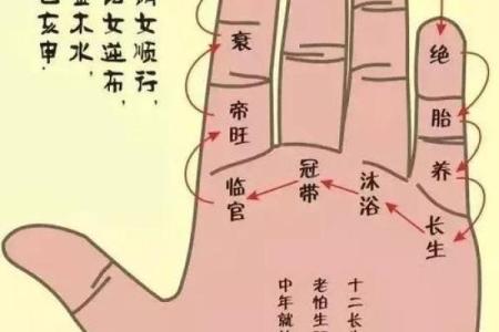 白鹤神数量指算命