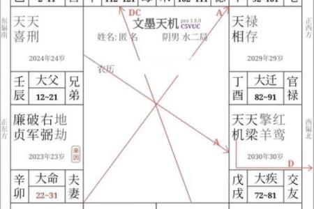 紫微斗数里怎样查小限视频 紫微斗数如何看大限？
