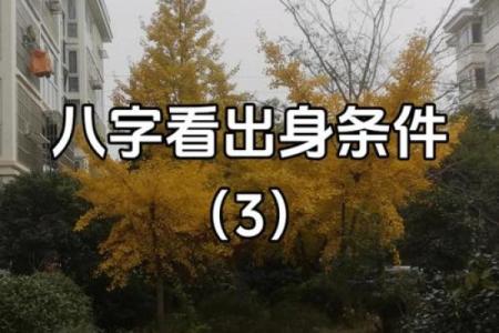 八字月印