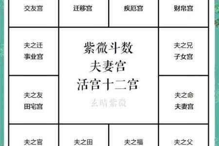 紫薇斗数怎么看夫妻婚后感情