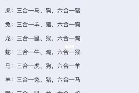 1997年属什么生肖配对