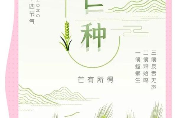 2024年芒种的财神方位在哪？芒种节气的三个物候现象