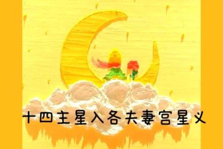 紫微斗数之夫妻宫在丑宫，是什么意思？