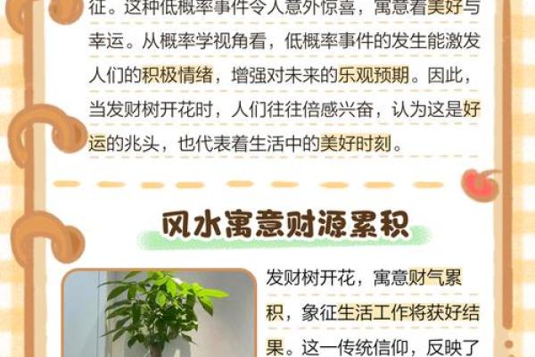 风水上一个人要发财的预兆有哪些
