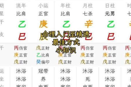 八字算命入门