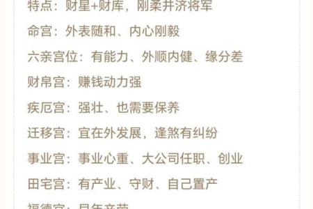 紫薇斗数盘下载