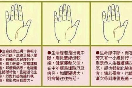 女人断掌手相算命图解