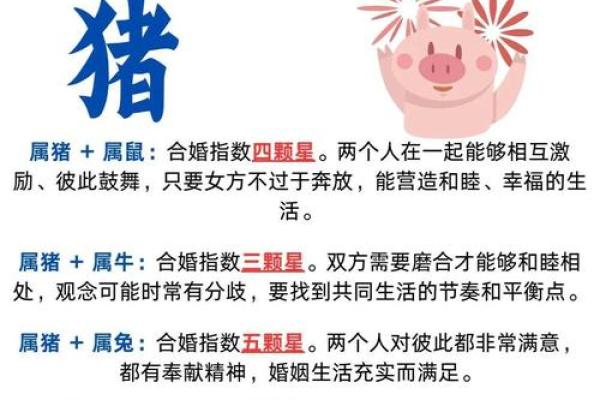 属鸡双子座与属猪处女座配对如何