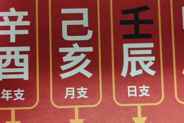 中年人的八字命运分析图