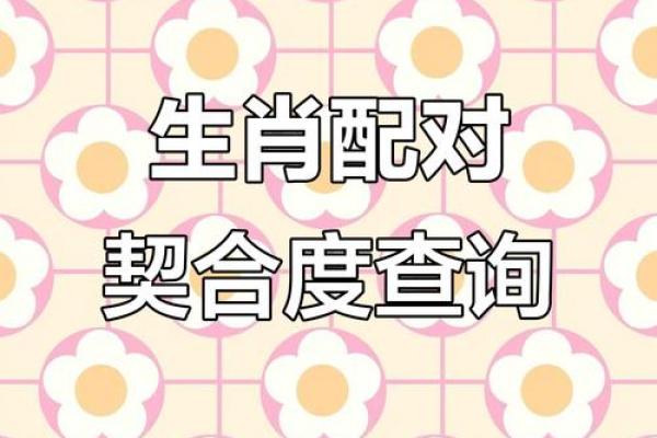 姓名配对测试和好 姓名配对预测？
