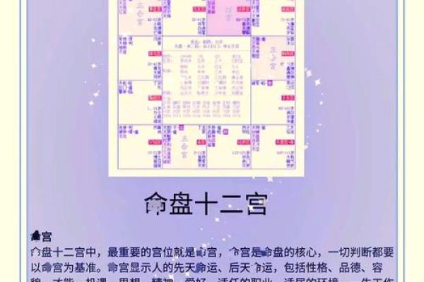 孝顺的紫薇斗数