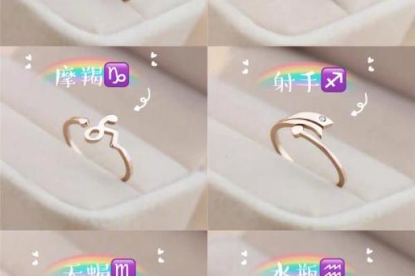 12星座专属暗器