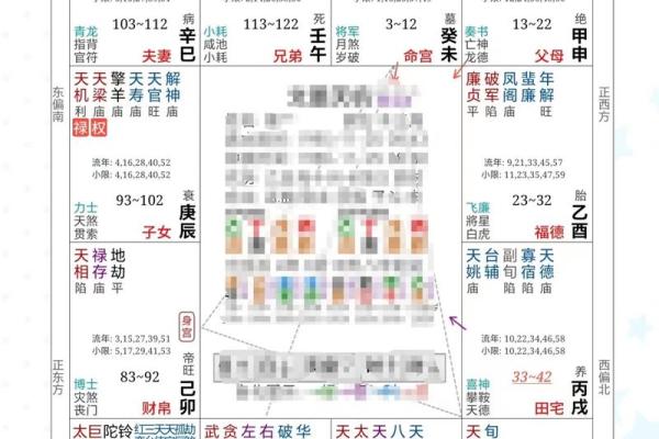 紫薇斗数看子孙