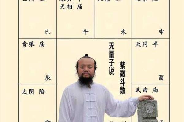 紫薇斗数看子孙