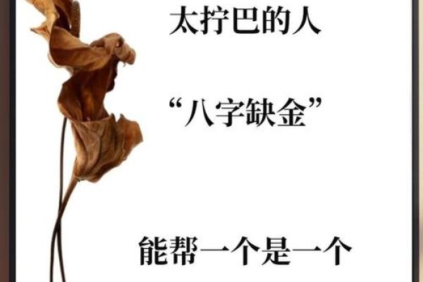 八字缺金的人如何招财？