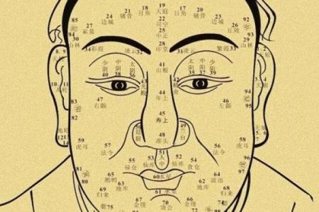 风水面相：耳朵贴脑的女人好不好