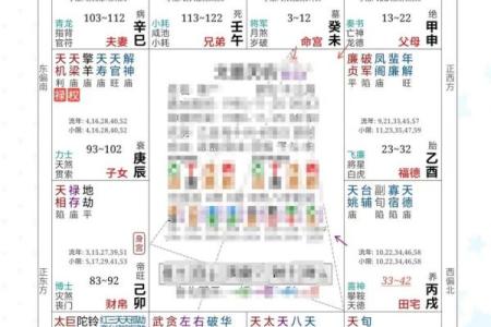 紫薇斗数看子孙