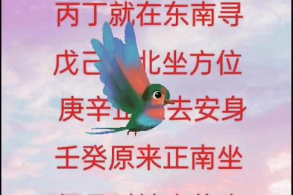 属猪的财神方位