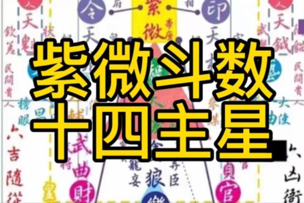 紫薇斗数4
