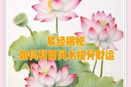 居家风水布置如何增加财运？