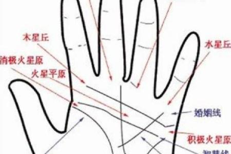 从手纹看姻缘 如何看手纹算命婚姻线？