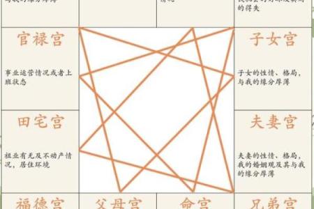紫薇斗数大运和八字不一样