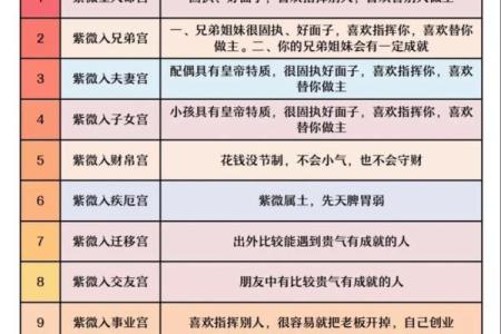 紫薇斗数丙级星