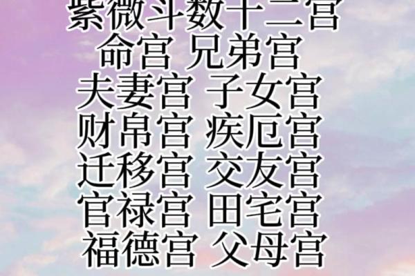 紫薇斗数很准吗
