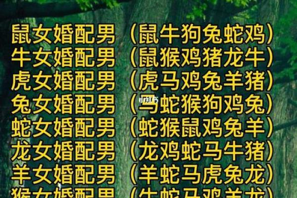 生辰八字夫妻宫怎么看 如何看生辰八字的夫妻宫