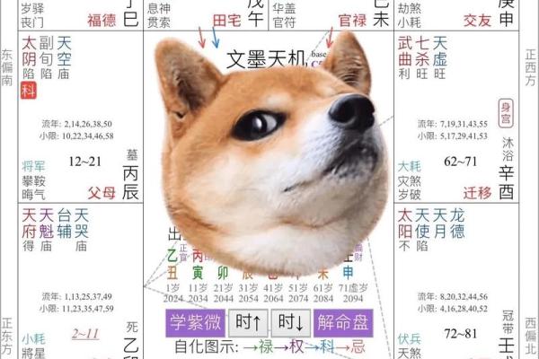 紫薇斗数在排盘
