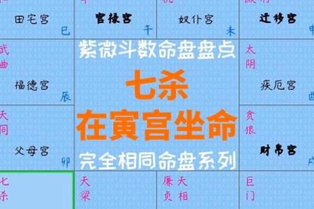 紫微斗数诸星落诸宫之：武曲星田宅宫详解