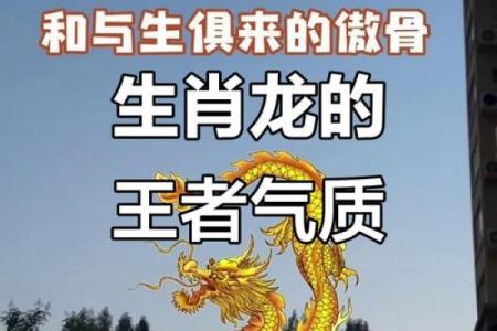 龙风水_属龙的人最可怕的一面是什么