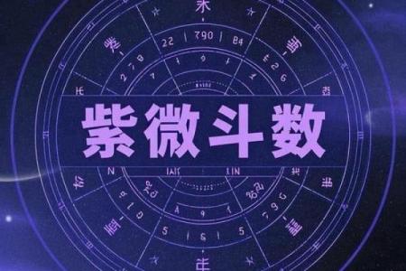 紫薇斗数性格怪异