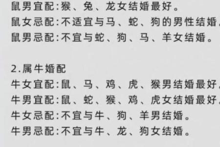 属猪的2024年结婚什么时候好 结婚吉日查询