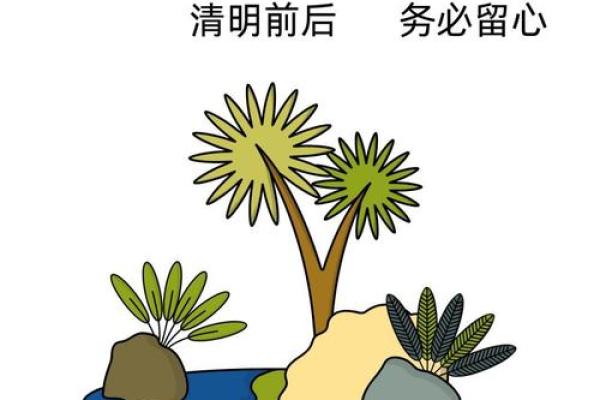 巨蟹星座运势七月陶白白