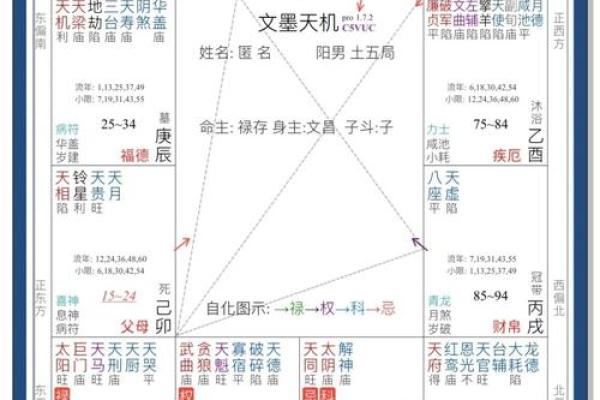 紫薇斗数排盘死