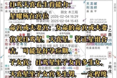 紫薇斗数巨门天喜在子女宫