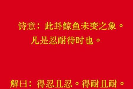 破观音灵签第二十四签全解
