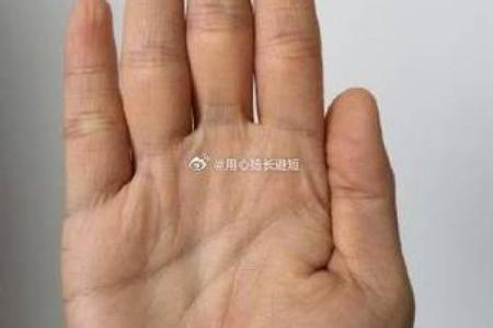 圆形手指算命