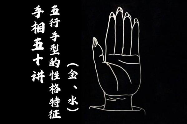 手型算命：水型人的性格与命运