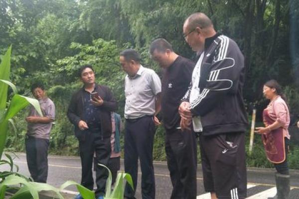罗顺 风水