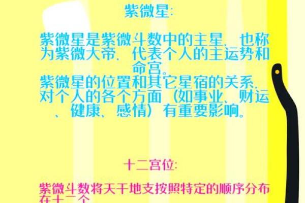 紫薇斗数学法律