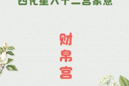 什么紫薇斗数安享富贵