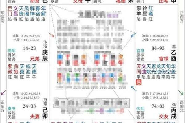 紫薇斗数看做什么