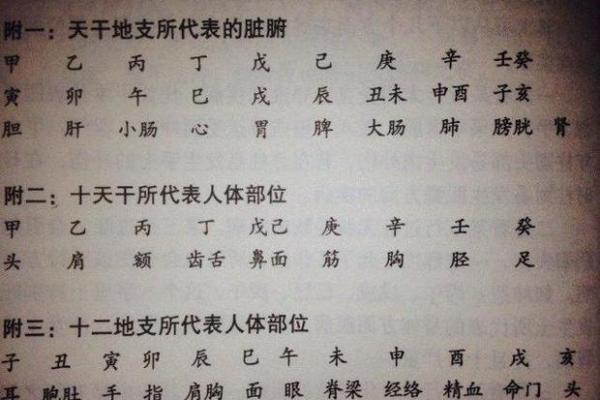 八字医院