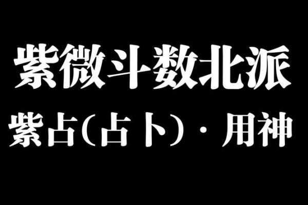 紫薇斗数梁派